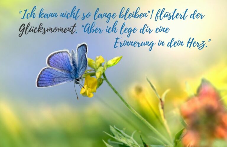Die Kraft der Glücksmomente 44 Ideen, die dir helfen!