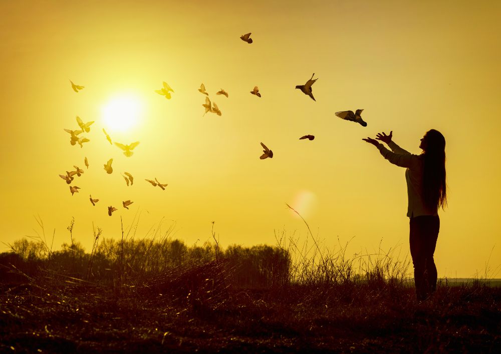 7 Tage Minikurs 7 Tage Minikurs